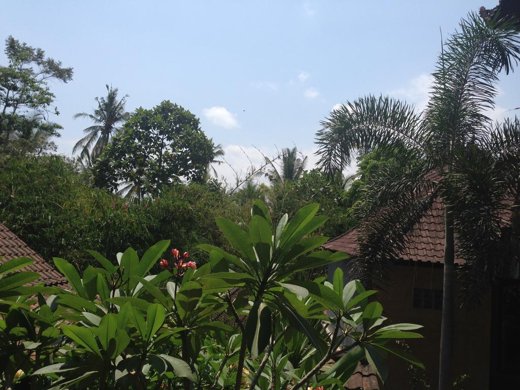 Ubud Rooms B&B الغرفة الصورة