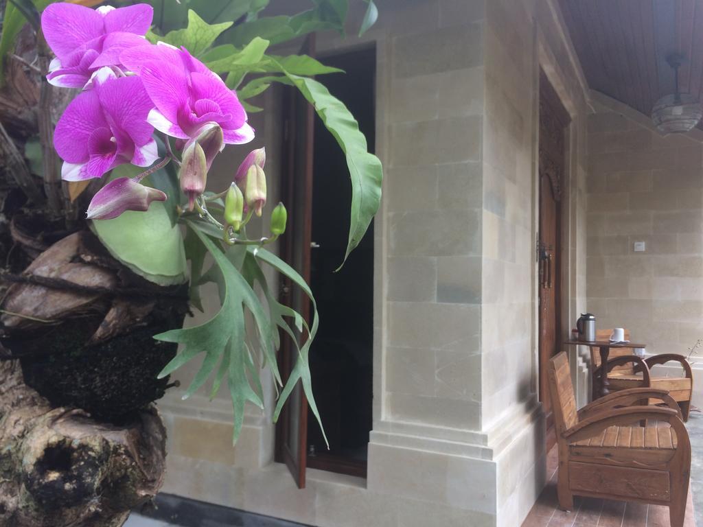 Ubud Rooms B&B المظهر الخارجي الصورة