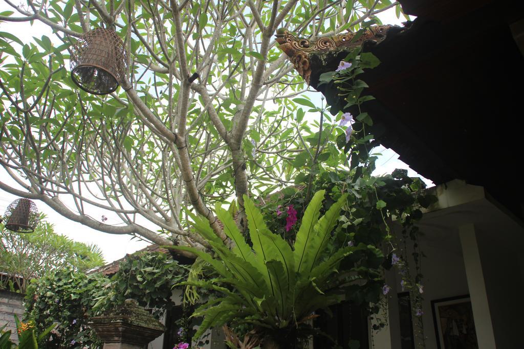 Ubud Rooms B&B المظهر الخارجي الصورة