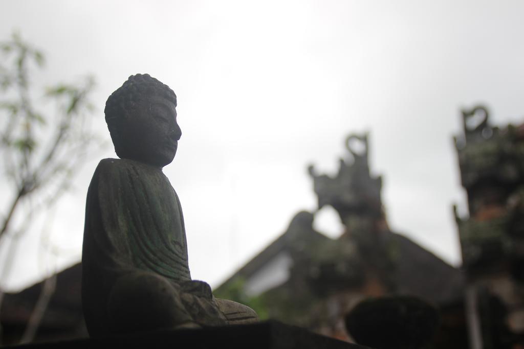 Ubud Rooms B&B المظهر الخارجي الصورة